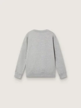 Bluza z okrągłym dekoltem Journey dla chłopców, z bawełny w kolorze szarej melanżowej z nadrukiem maskotki
