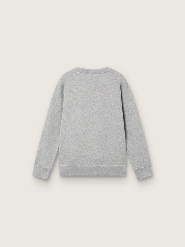 Bluza z okrągłym dekoltem Journey dla chłopców, z bawełny w kolorze szarej melanżowej z nadrukiem maskotki